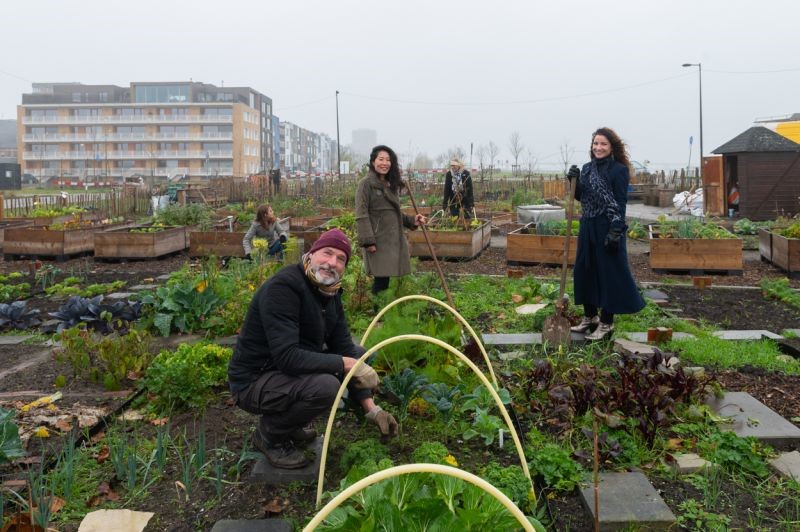 Zeeburgereiland Moestuin