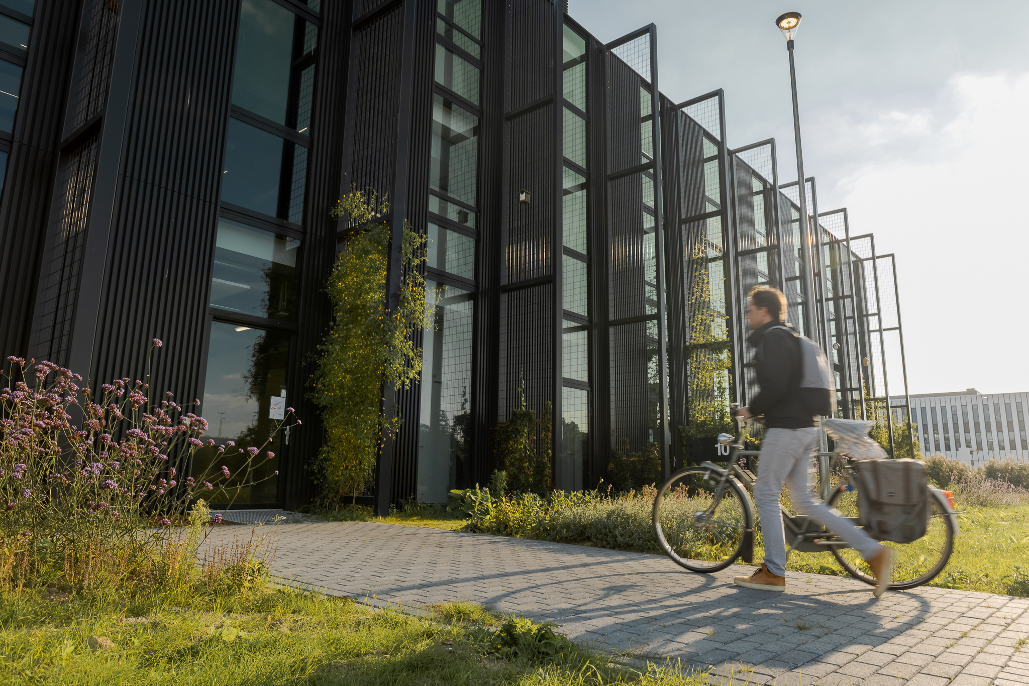 Oldelft ASR DSPF TU Delft