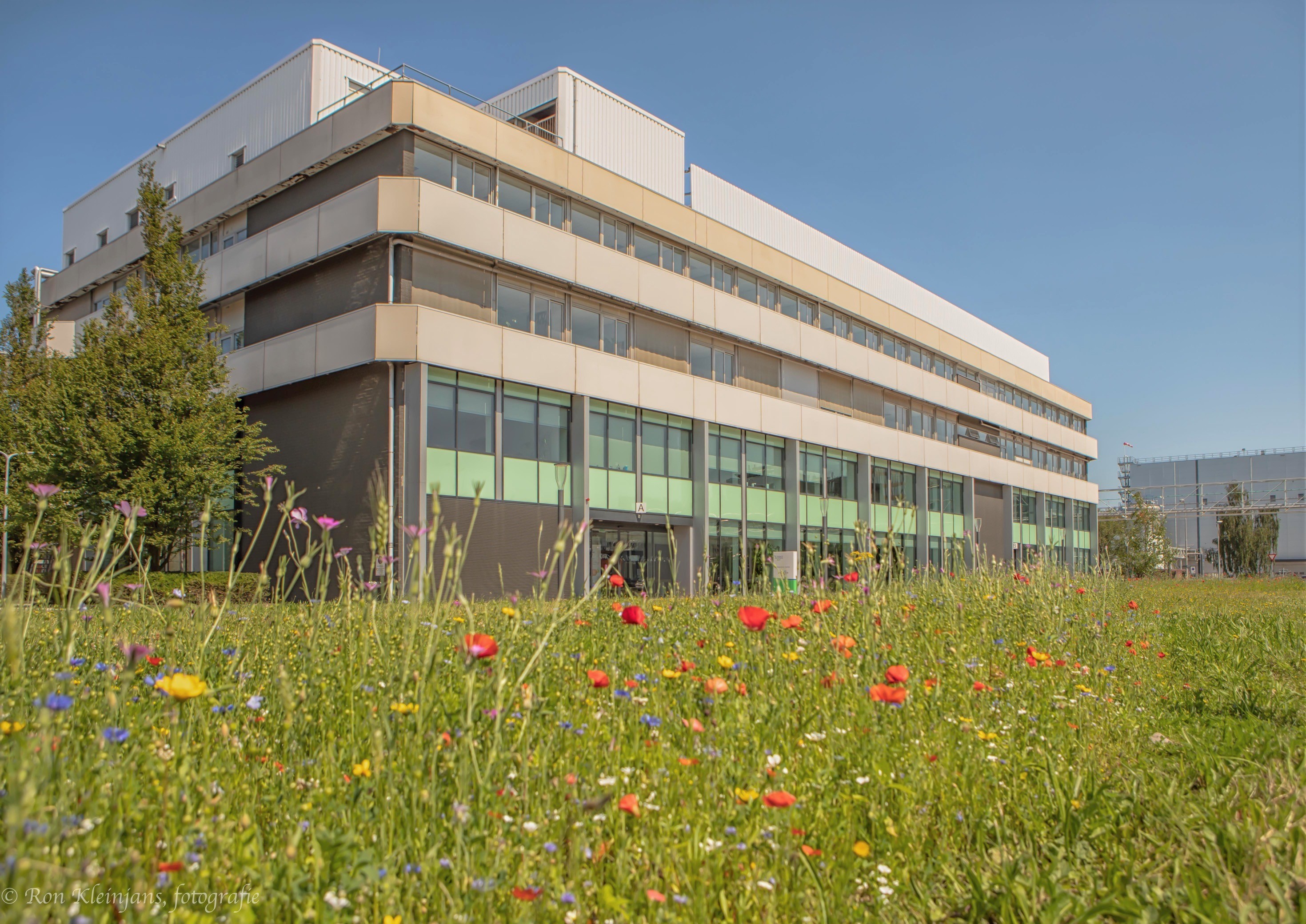 Bloemenperk Voor Beijerinck Center