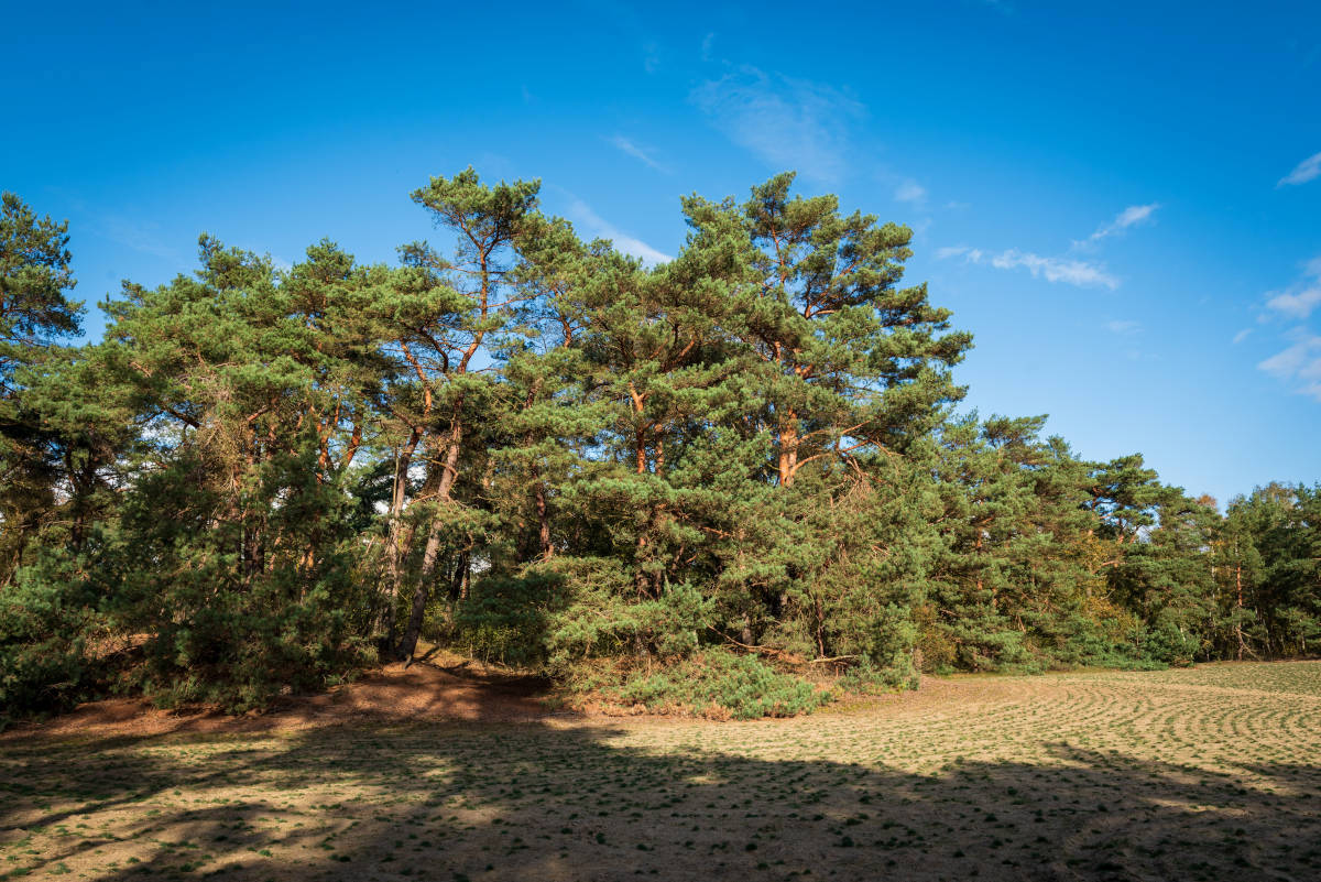 Op deze slide wordt getoond Landgoed Junne ASR.