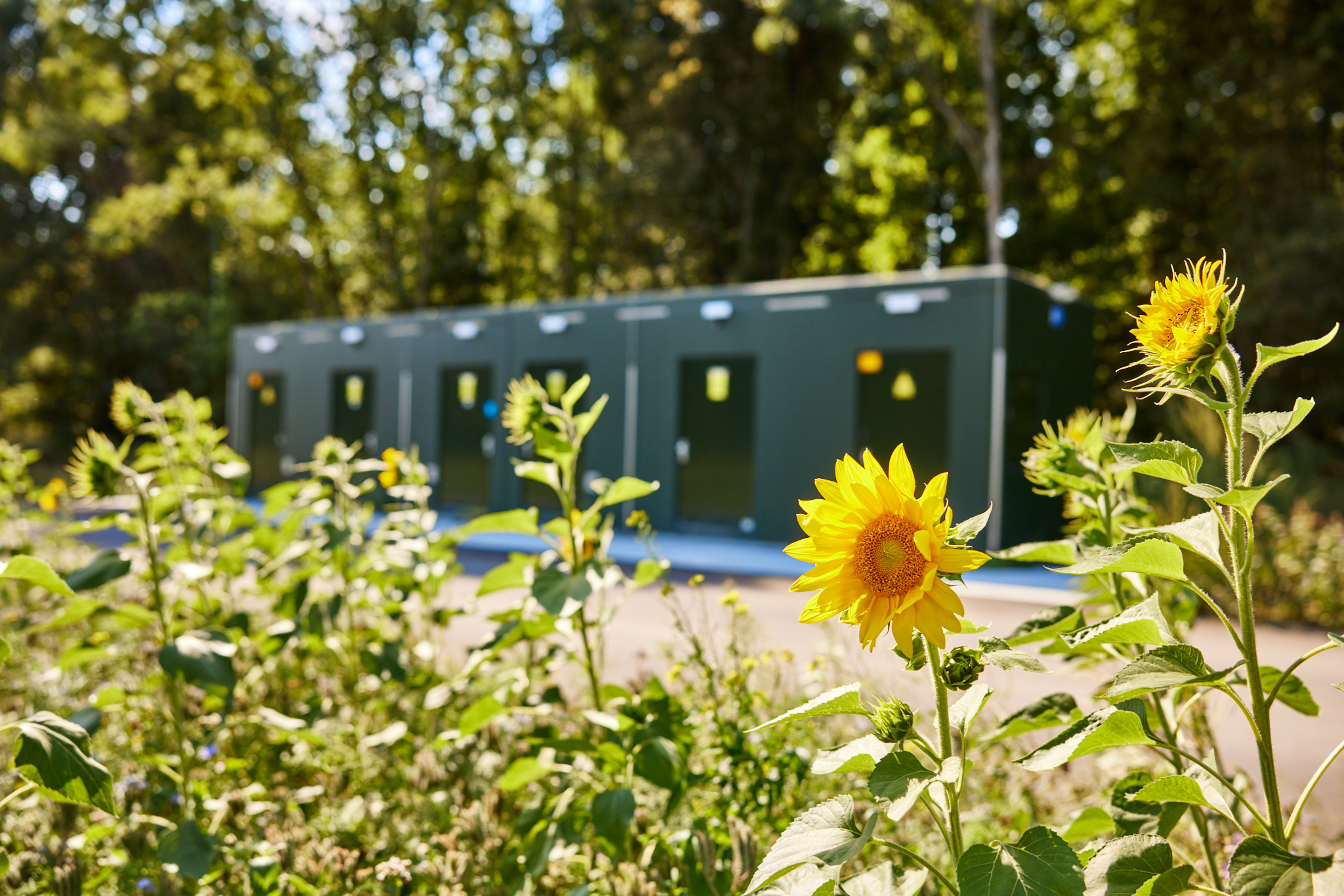 batterijopslag in Heinenoord