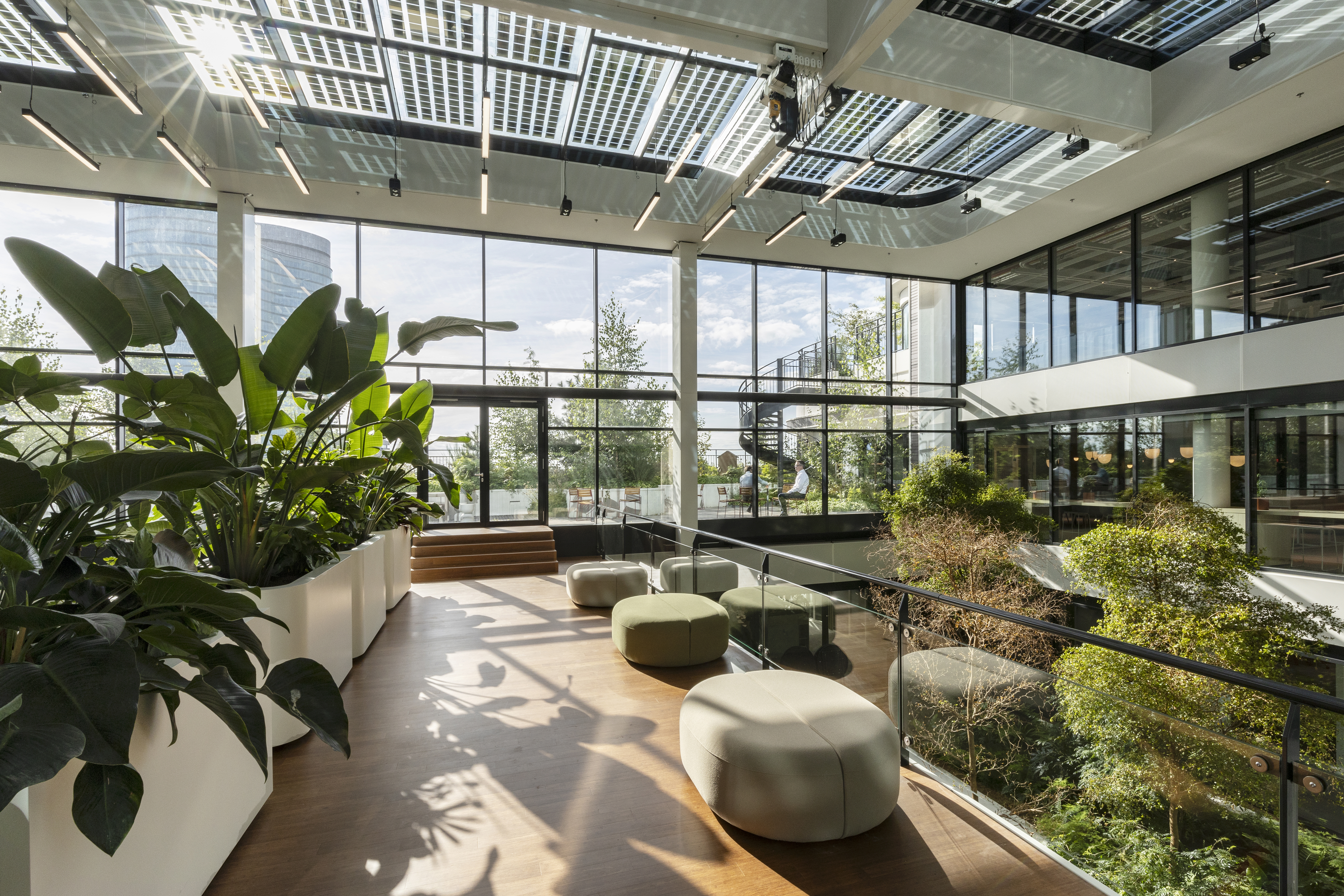 Op deze slide wordt getoond Wonderwoods, Fotograaf Giovanni Nardi Vermelden G37A0015 (29).