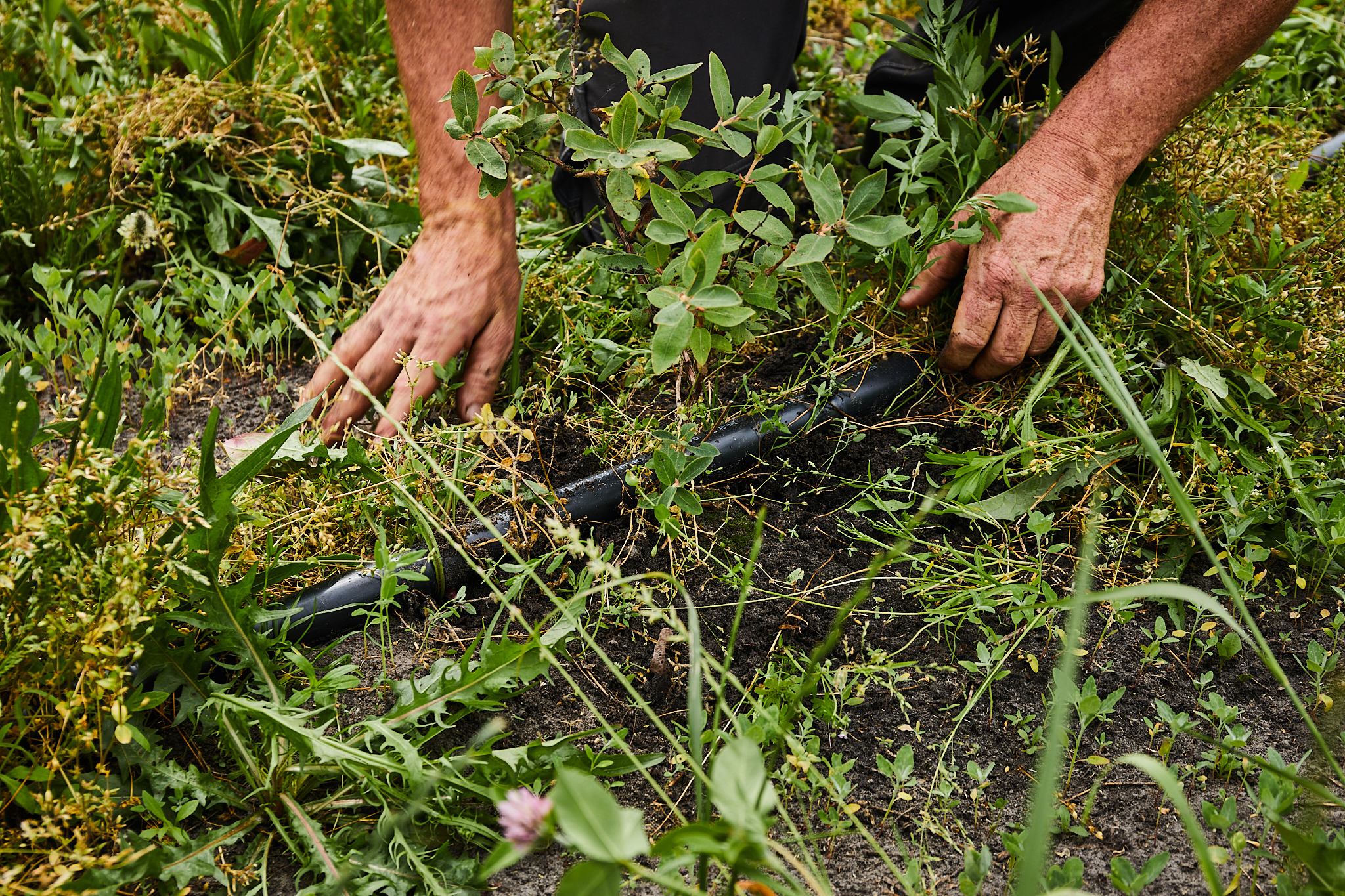 Bodem Landbouwgrond