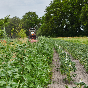 Pensioenfonds ING investeert 100 miljoen in ASR Dutch Farmland Fund